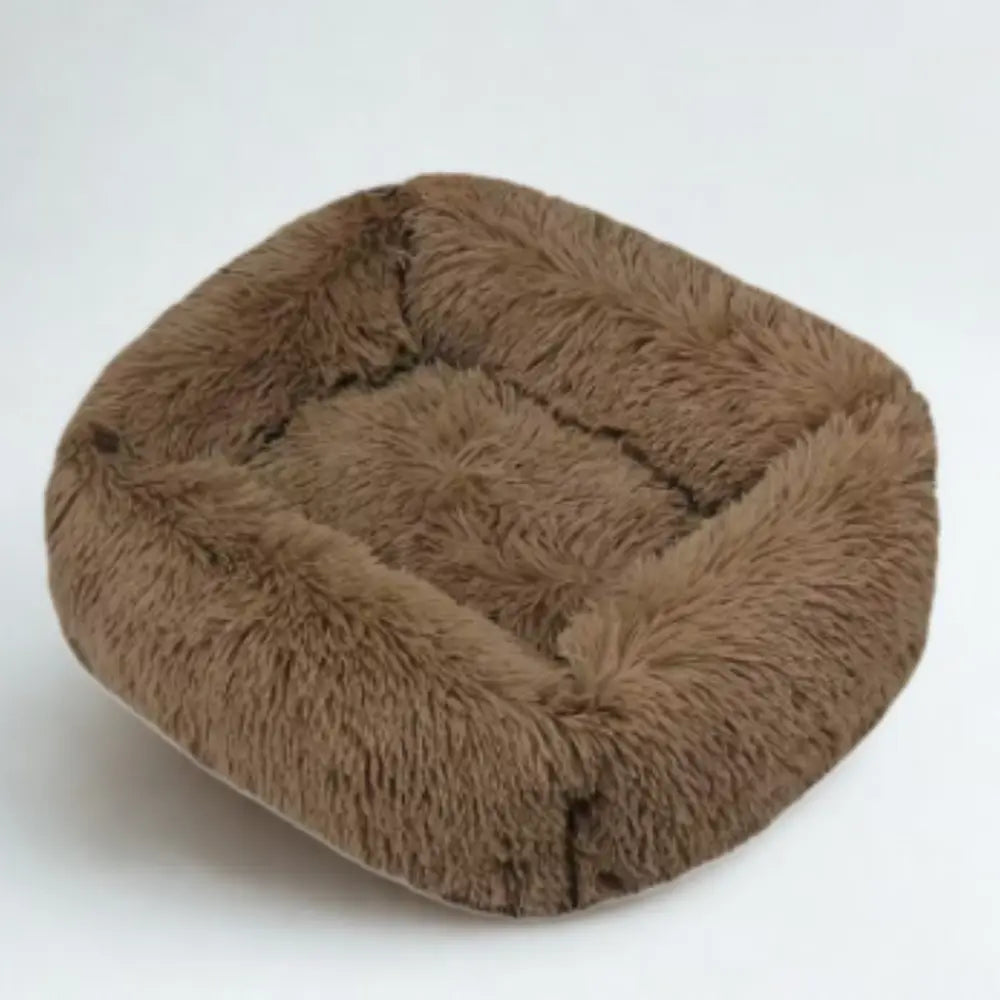 photo professionnelle panier pour chien marron