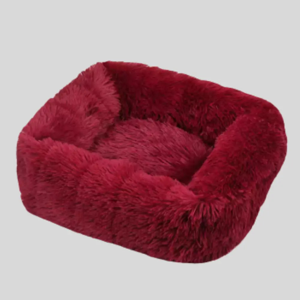 photo professionnelle panier pour chien rouge bordeaux