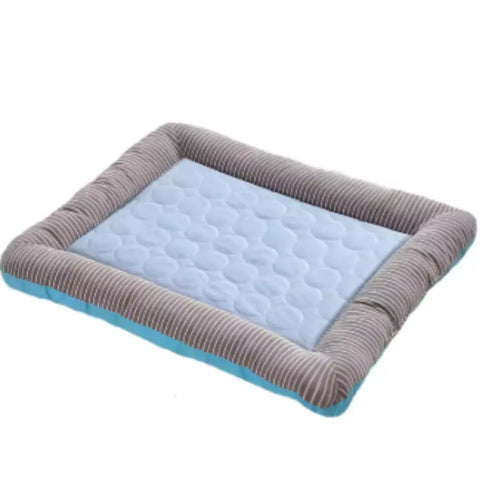 photo professionnelle tapis rafraichissant chien bleu