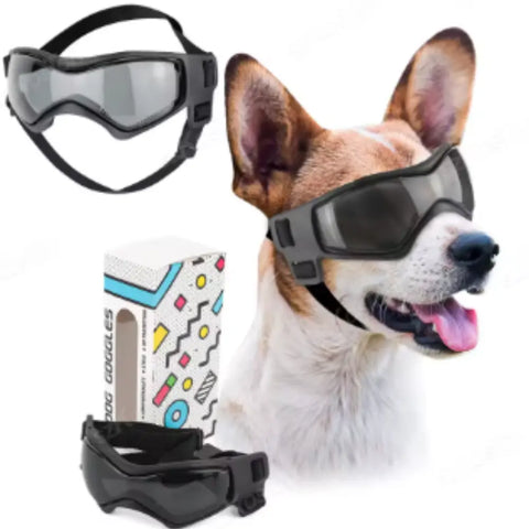 presentation produit lunettes pour chien