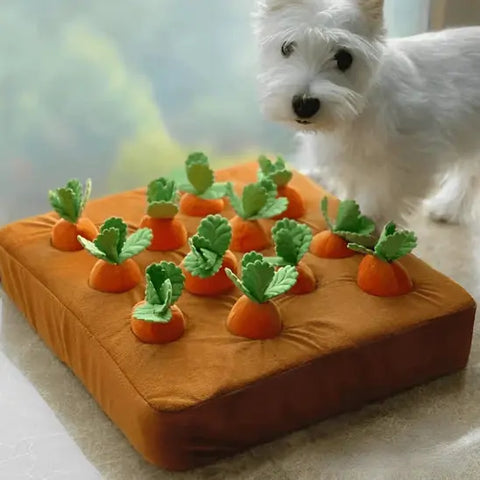 tapis fouille chien avec petit chien blanc