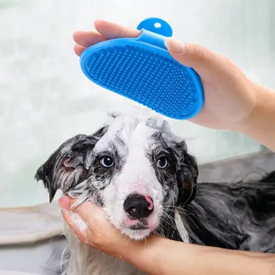 toilette chien avec brosse pour chien bleue