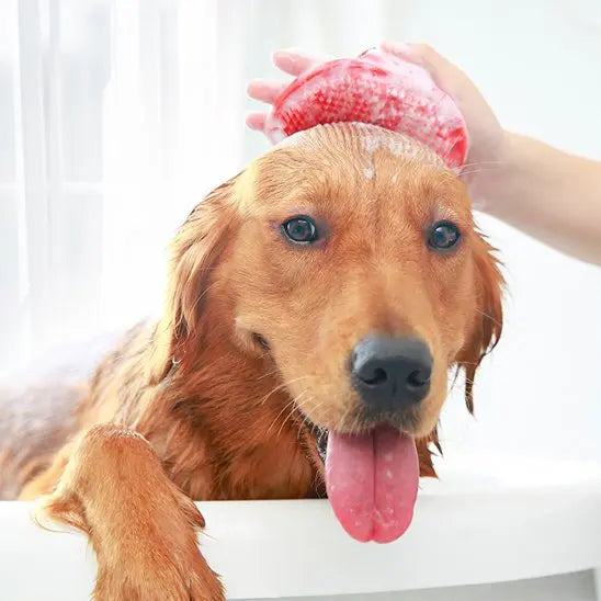 toilette chien avec brosse pour chien rouge