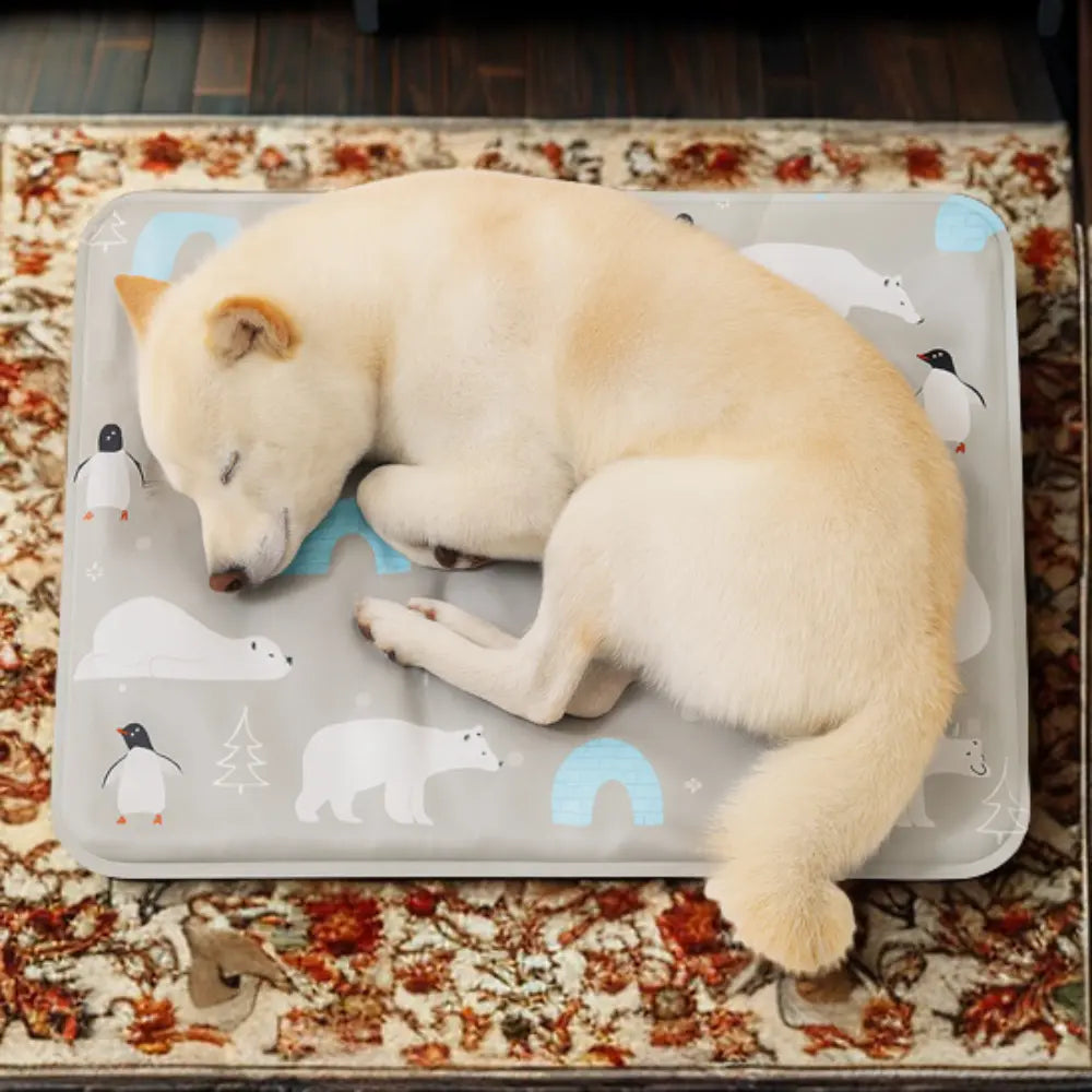 vue aerienne chien dormant sur tapis rafraichissant chien