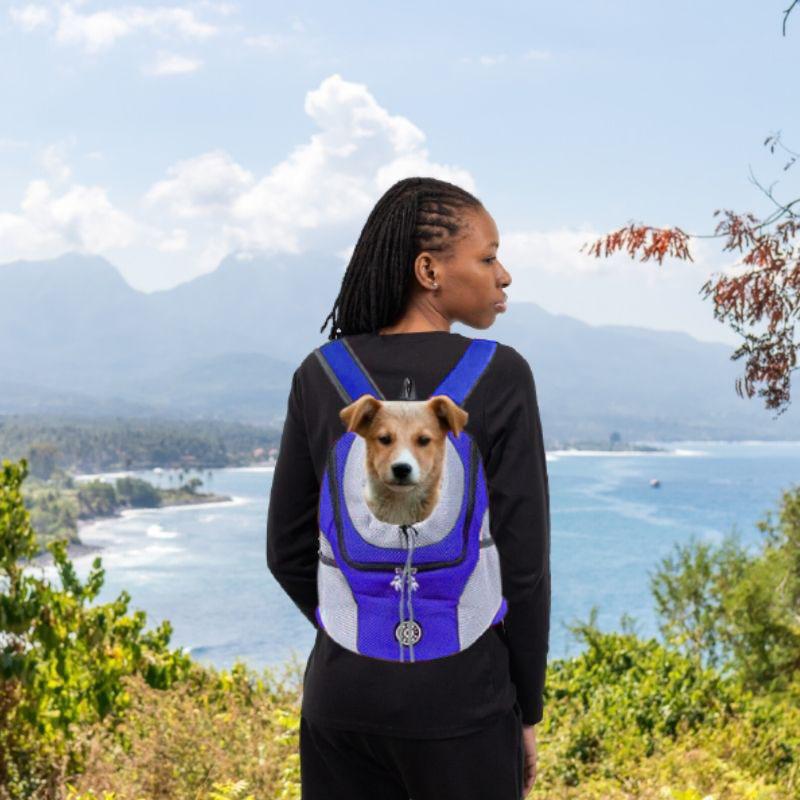 Sac à Dos De Voyage Pour Chien, Accessoire De Randonnée Pour Animal De Compagnie, Ventilation Extérieure, Respirant, Vélo, Moto, Sport En Plein Air, Sac En Maille, Livraison Directe