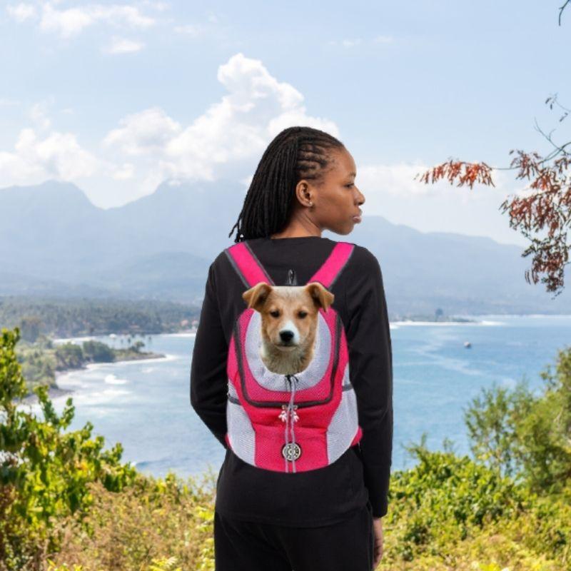Sac à dos porte chien | BackpackDog™ - {{ Nala et Milo }}