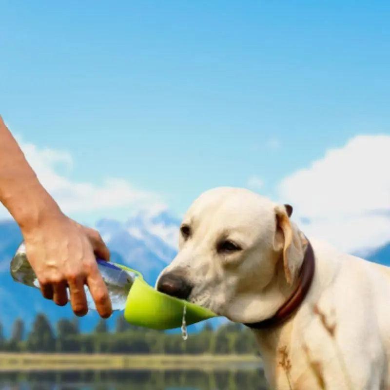 Bouteille d'eau pour chien | FEEDO™ - {{ Nala et Milo }}