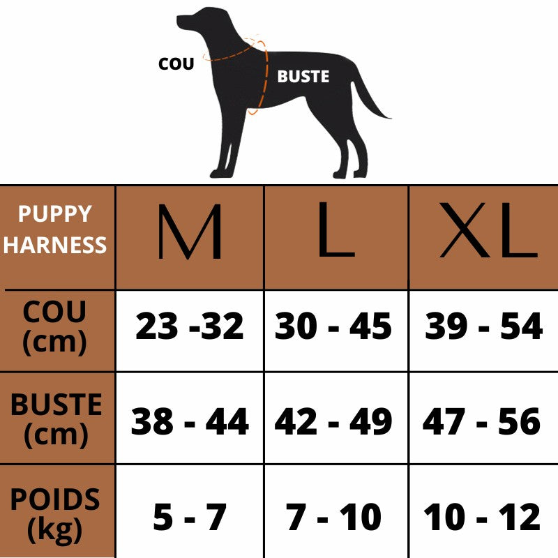 harnais petit chien taille