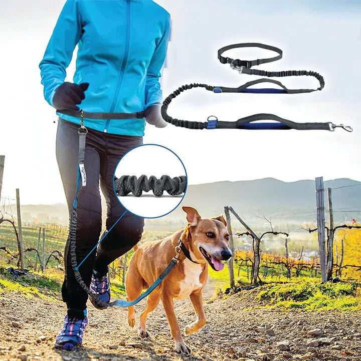 Laisse main libre chien | JOGDOG™ - {{ Nala et Milo }}