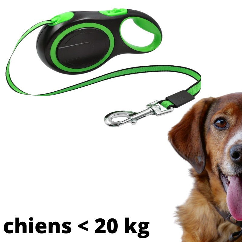 Laisse enrouleur gros chien - {{ Nala et Milo }}