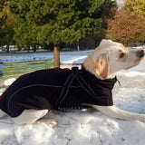 manteau chien hiver noir