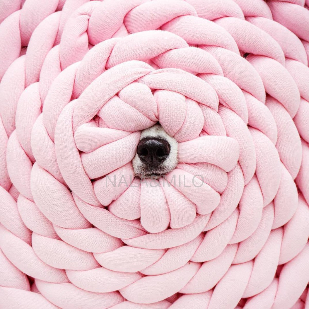 Coussin panier Lit pour petit chien et chat - {{ Nala et Milo }}