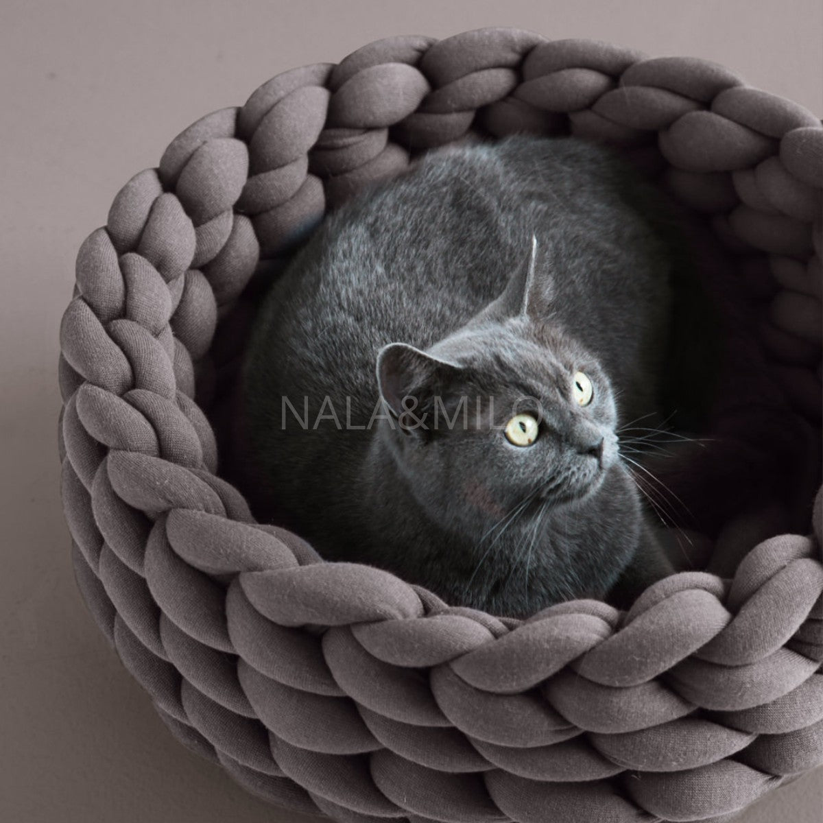 Coussin panier Lit pour petit chien et chat - {{ Nala et Milo }}