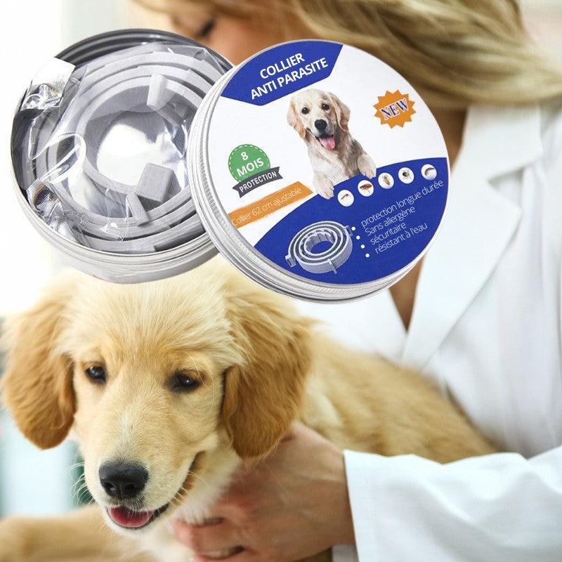 Collier anti puce pour chien | Protecto™ - {{ Nala et Milo }}