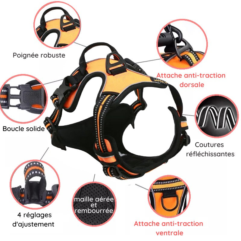 meilleur harnais anti traction chien