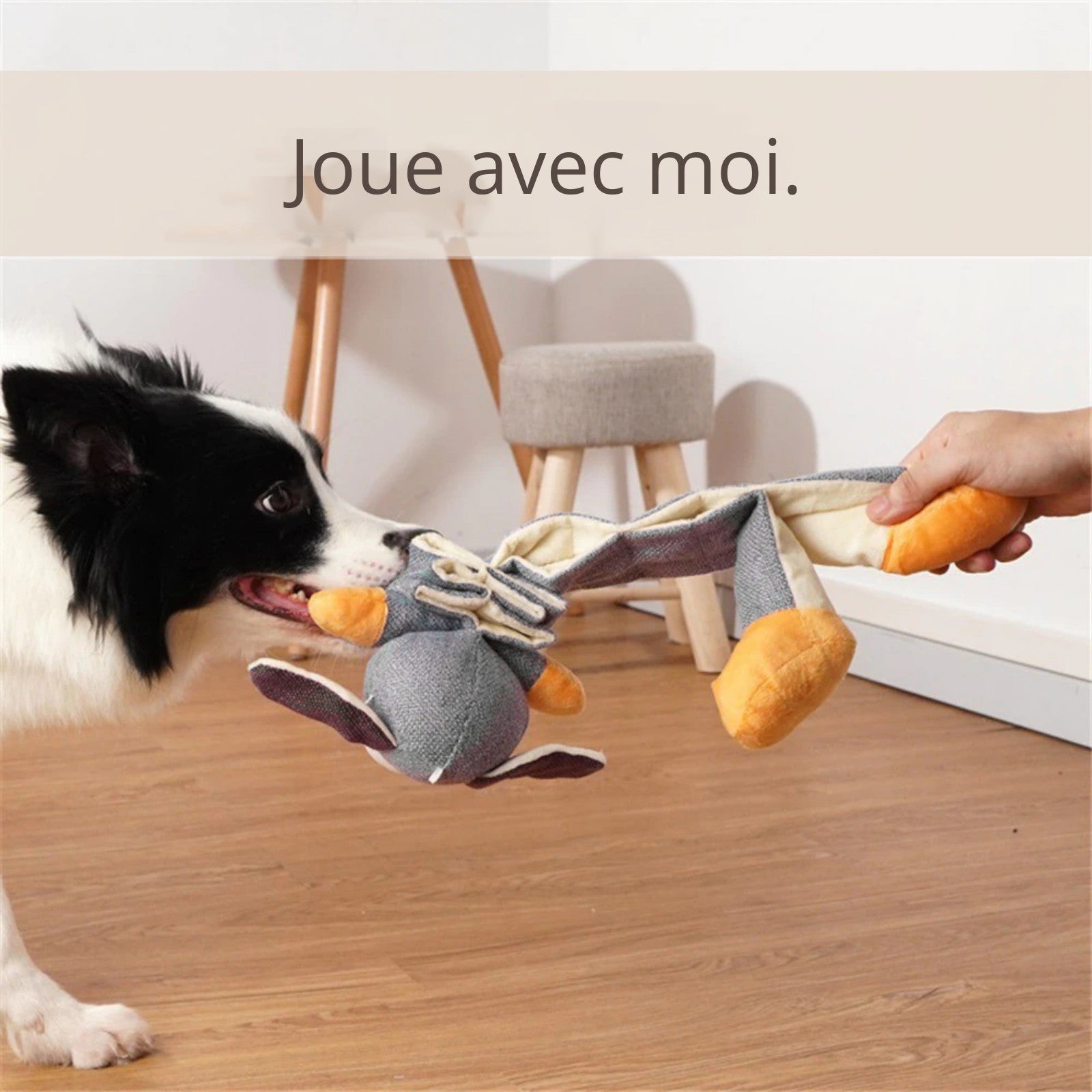 Peluche jouet de fouille | WALLY™ pour chien - {{ Nala et Milo }}